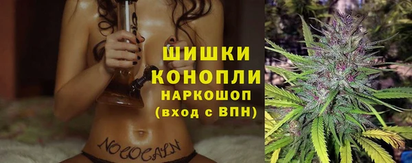СК Балахна